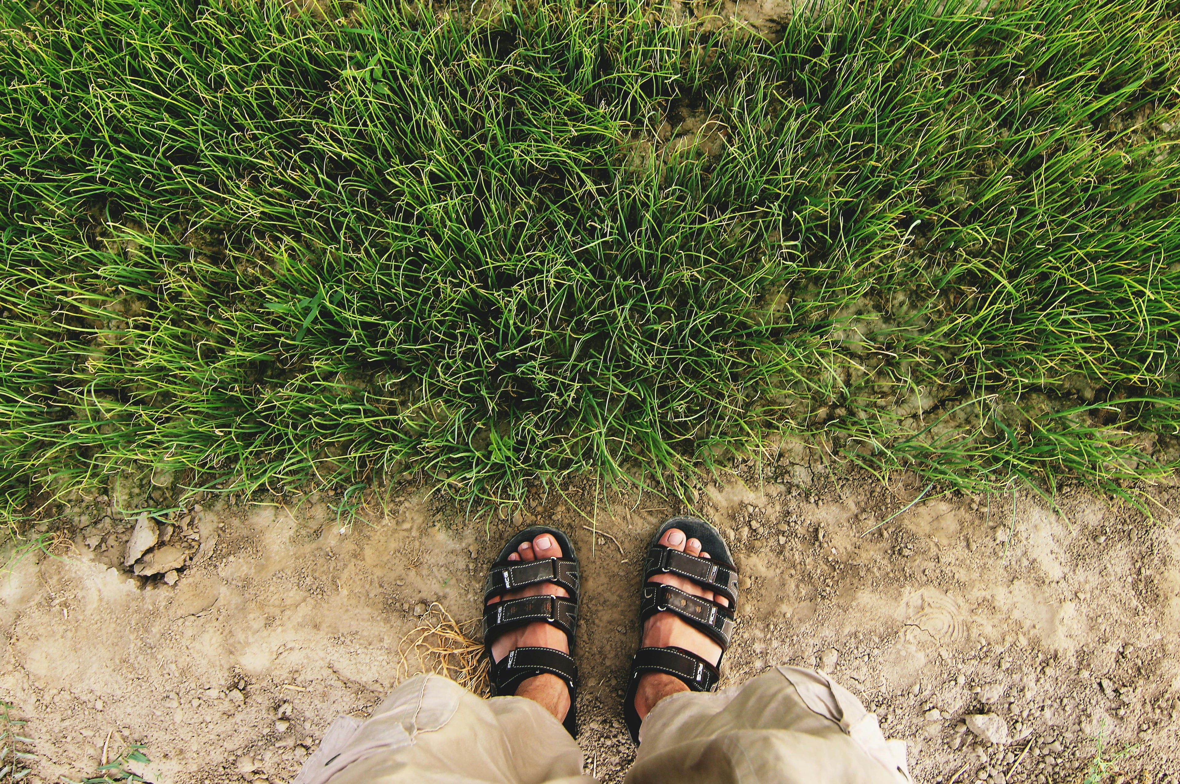Person wearing black sandals on a grassy and dirt path
